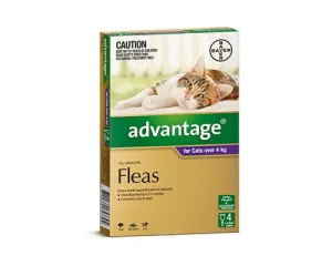 ADVANTAGE LARGE CAT OVER 4KG