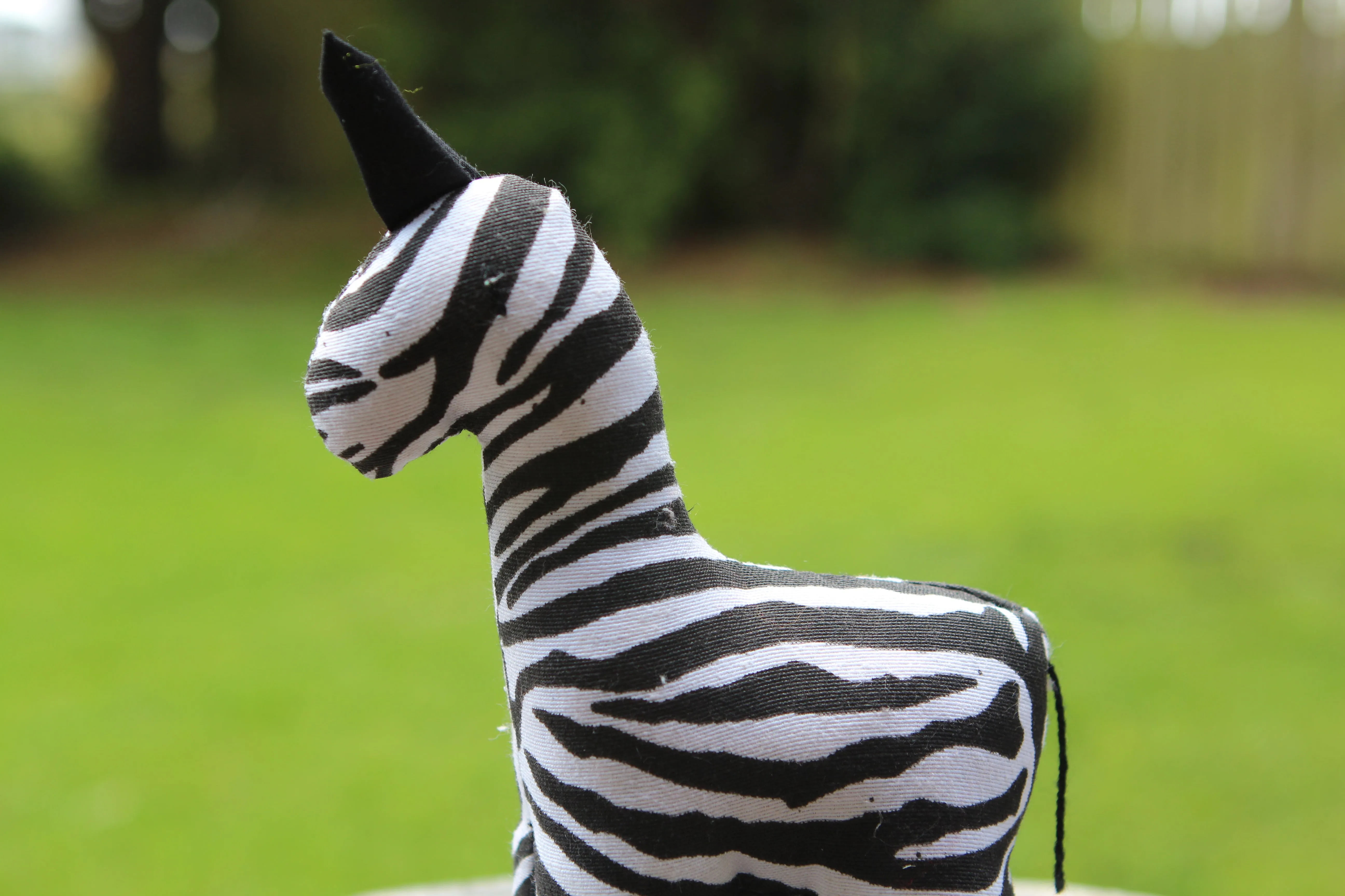 African Animal - Zebra Stripes