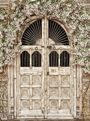 Beautiful Bazaar Ivory Backdrop