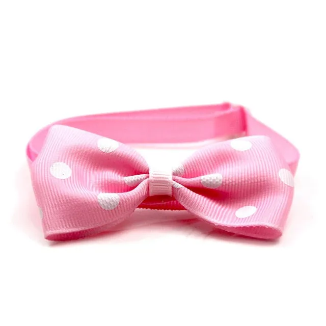 Beautiful Bow Ties