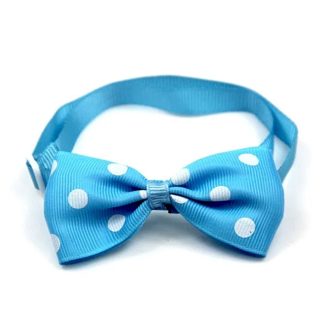 Beautiful Bow Ties