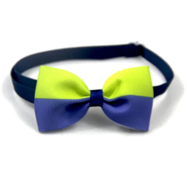 Beautiful Bow Ties