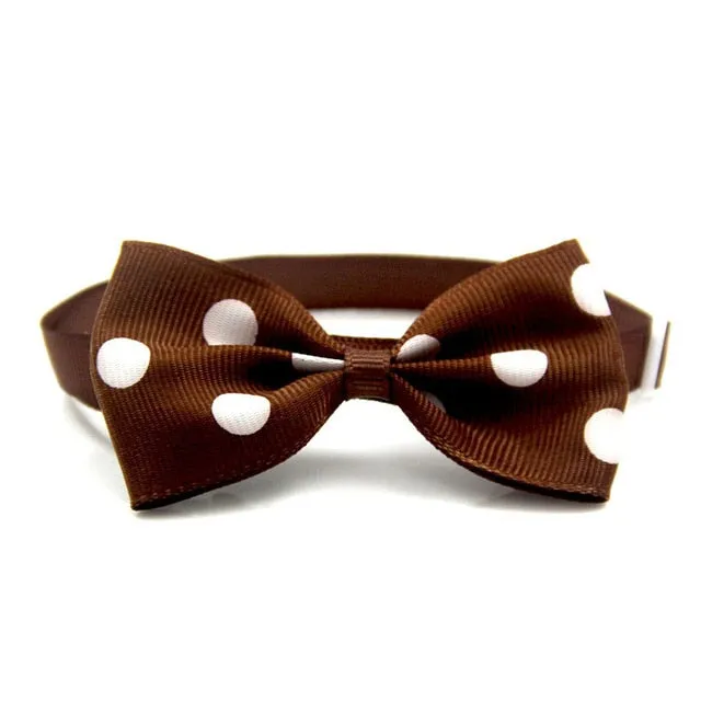Beautiful Bow Ties