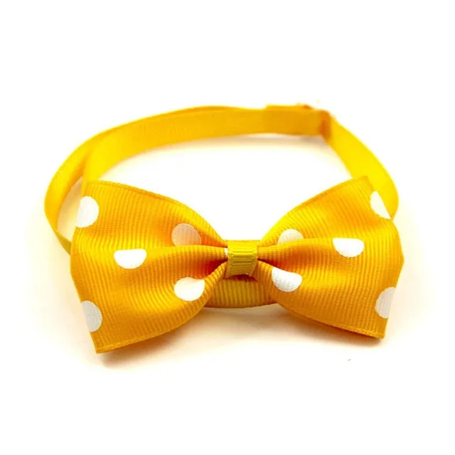 Beautiful Bow Ties