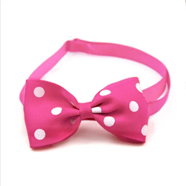 Beautiful Bow Ties