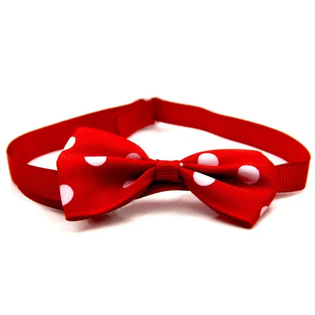 Beautiful Bow Ties