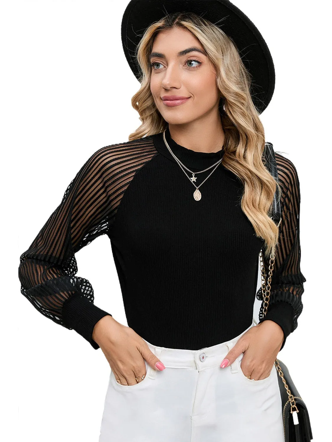 Black Basic Crew Neck Dressy Striped Mesh Long Sleeve Top