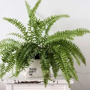 Canvas Plant Pot Holder - Please Don't Die