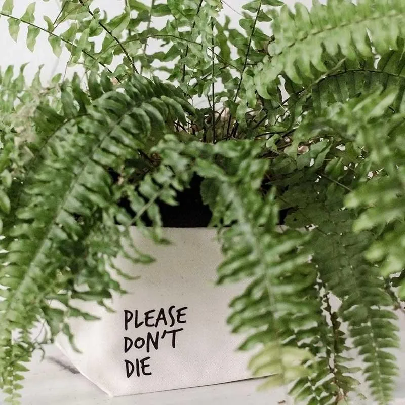Canvas Plant Pot Holder - Please Don't Die