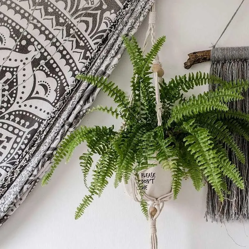 Canvas Plant Pot Holder - Please Don't Die