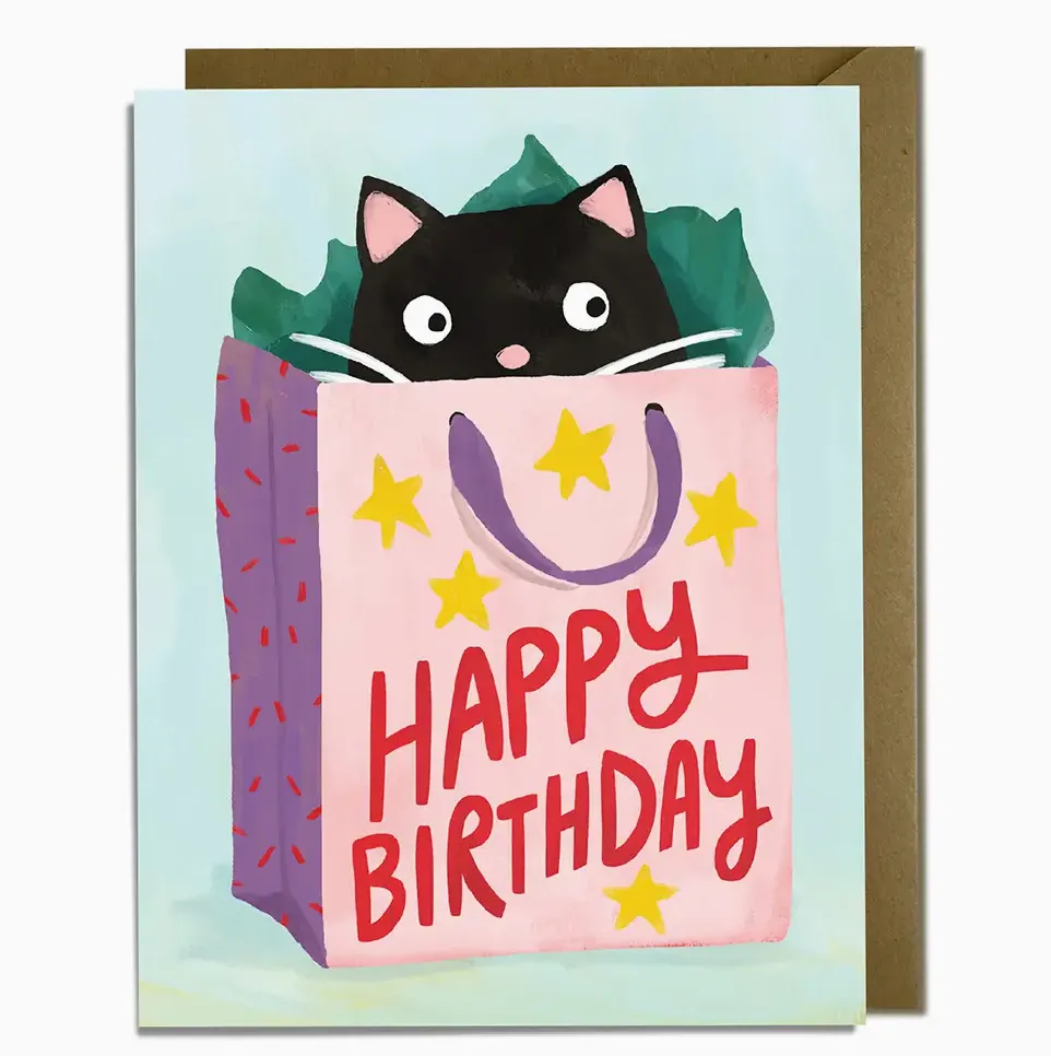 Cat Gift Bag Birthday