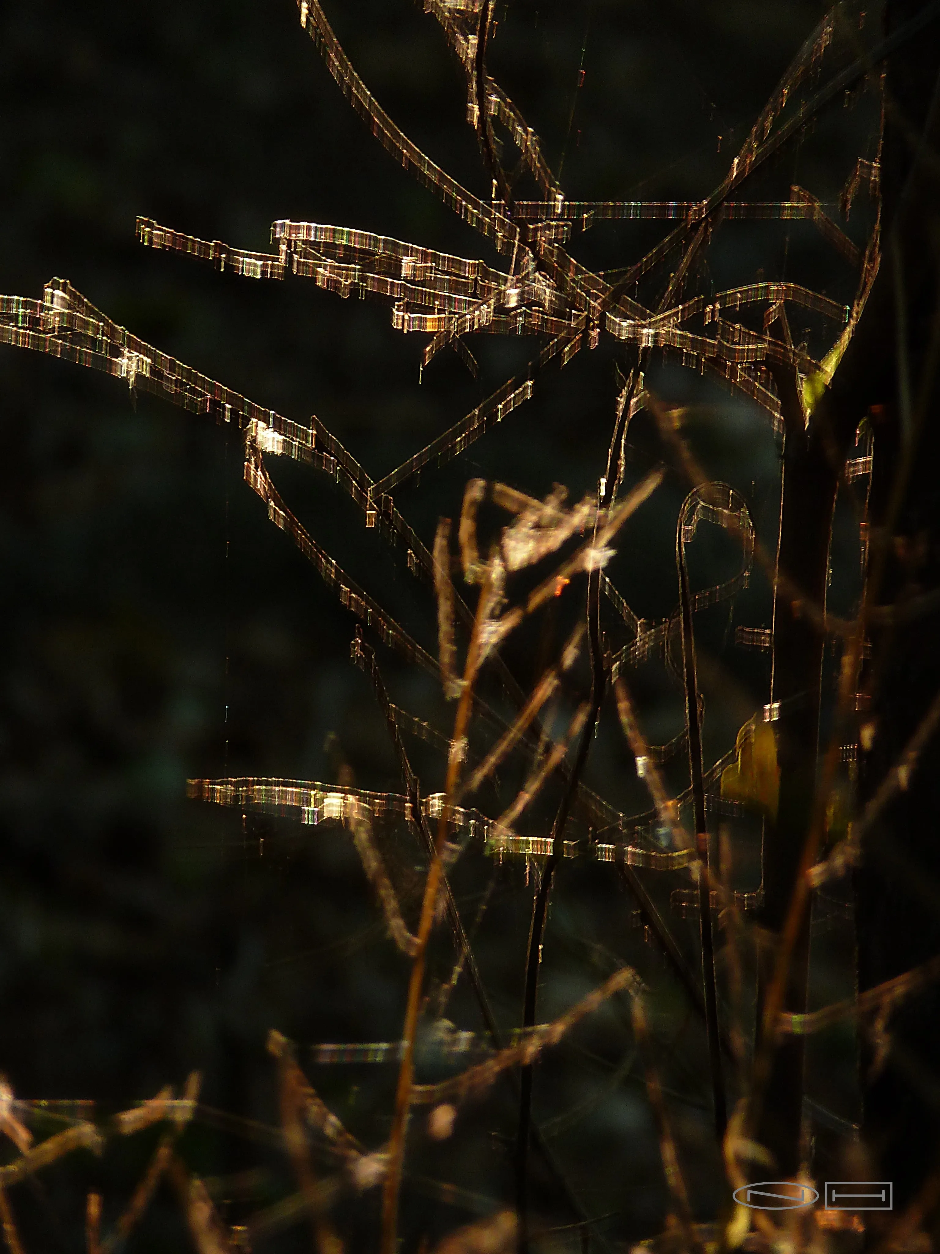 Coloured sticks