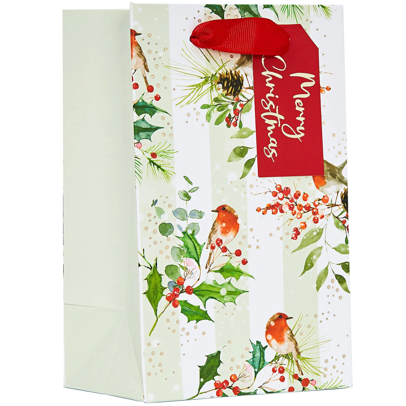 Design By Violet Robins Christmas Gift Bag