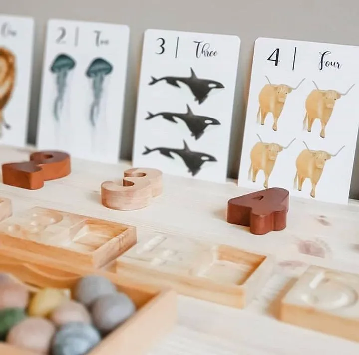 Jo Collier's "Nature's 123" Flashcards