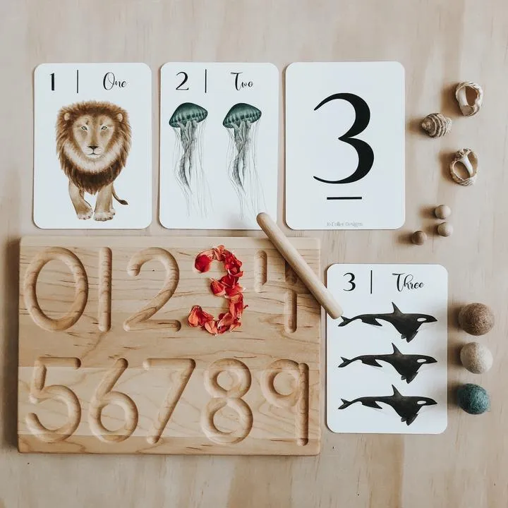 Jo Collier's "Nature's 123" Flashcards