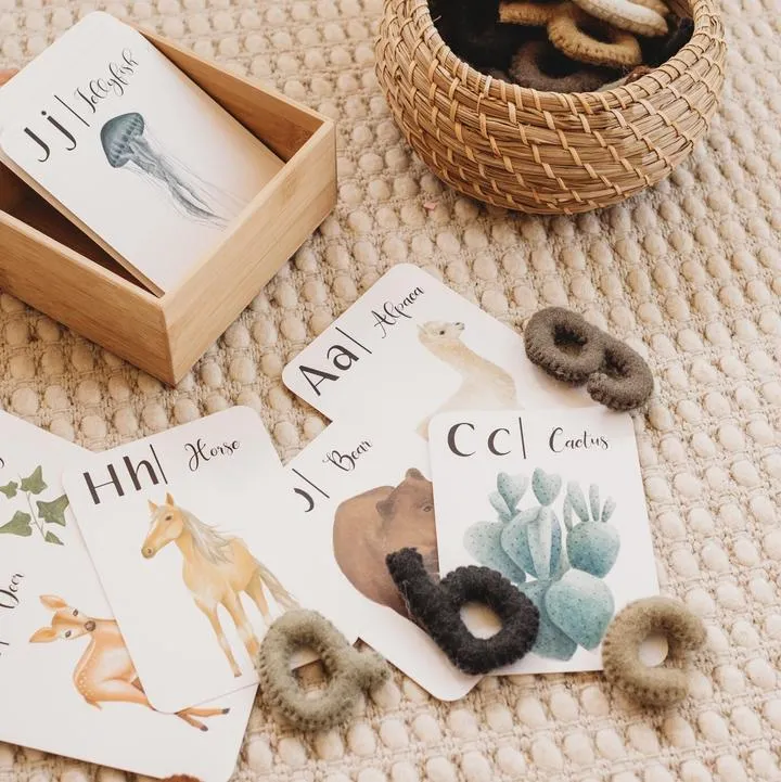 Jo Collier's "Nature's 123" Flashcards