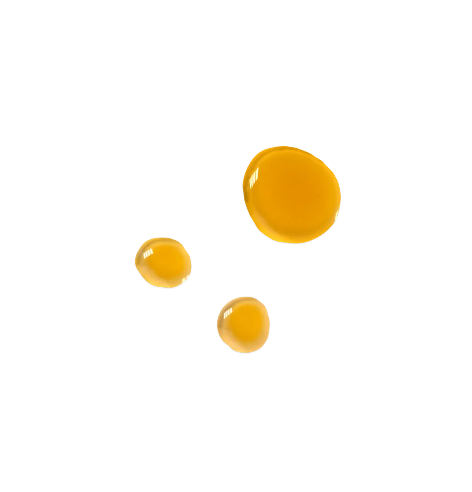 Luminous Vitamin Oil - SIX MONTH SUPPLY