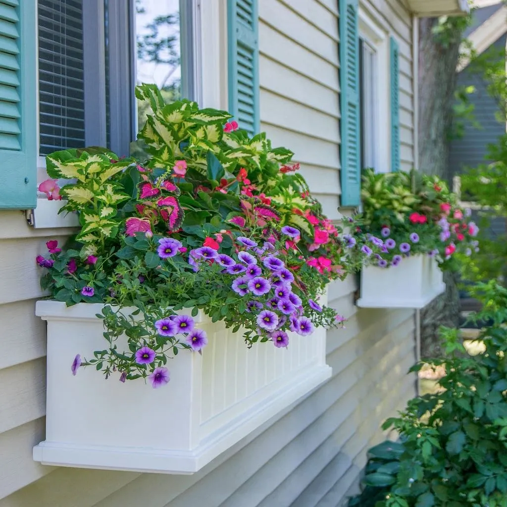 Mayne Cape Cod 4ft Window Box