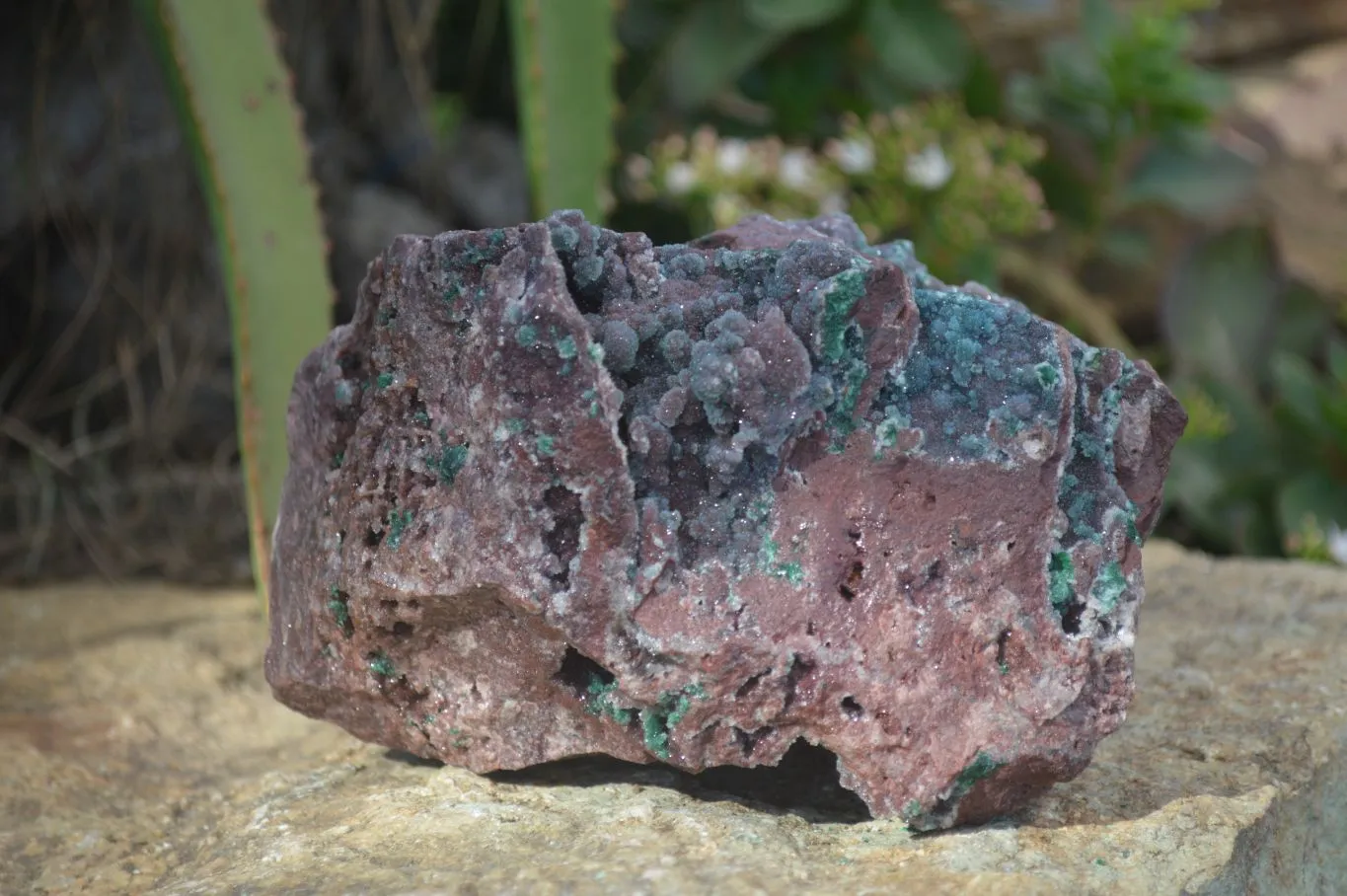 Natural Drusi Quartz Coated Ball Malachite In Red Copper Dolomite x 1 From Likasi, Congo