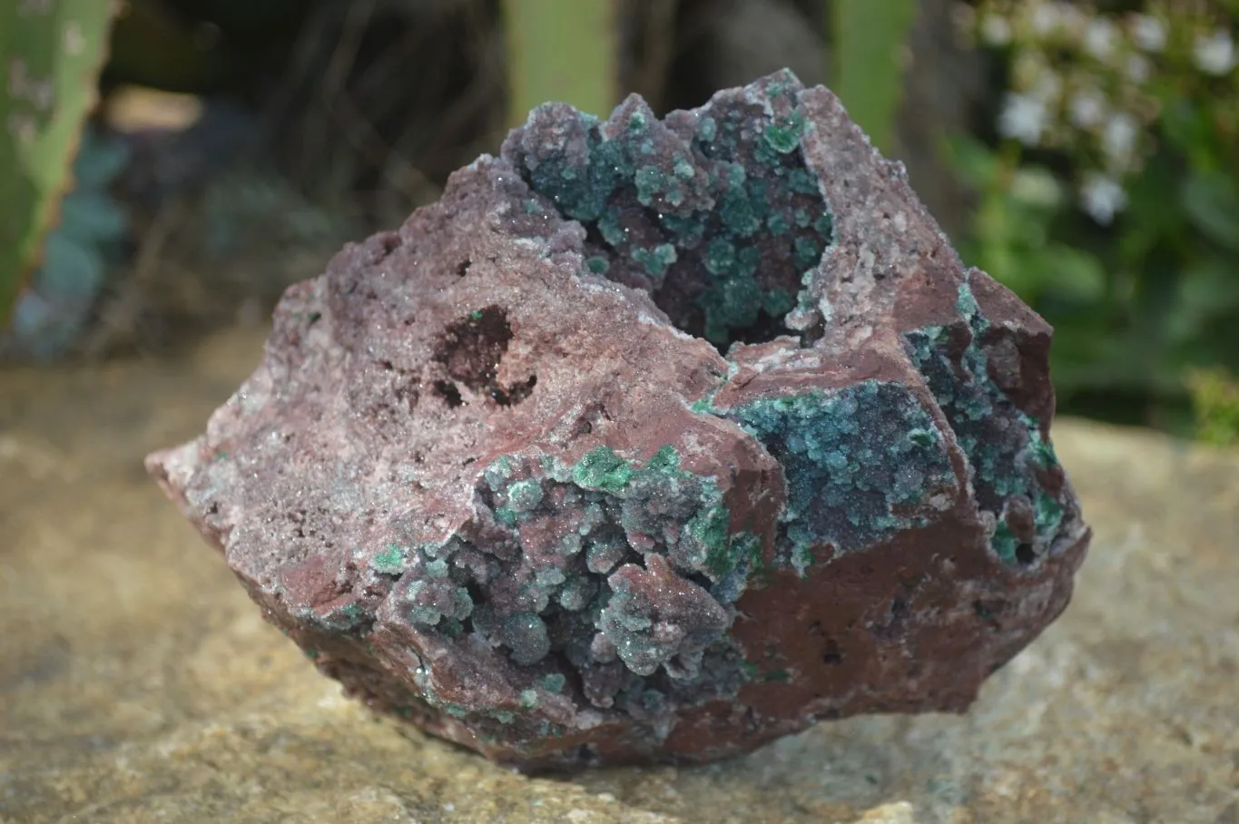 Natural Drusi Quartz Coated Ball Malachite In Red Copper Dolomite x 1 From Likasi, Congo