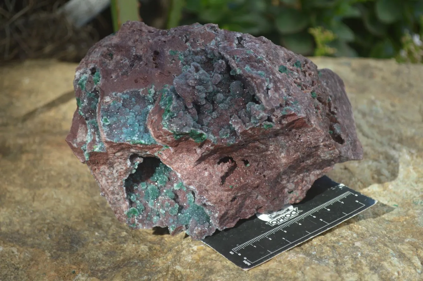 Natural Drusi Quartz Coated Ball Malachite In Red Copper Dolomite x 1 From Likasi, Congo