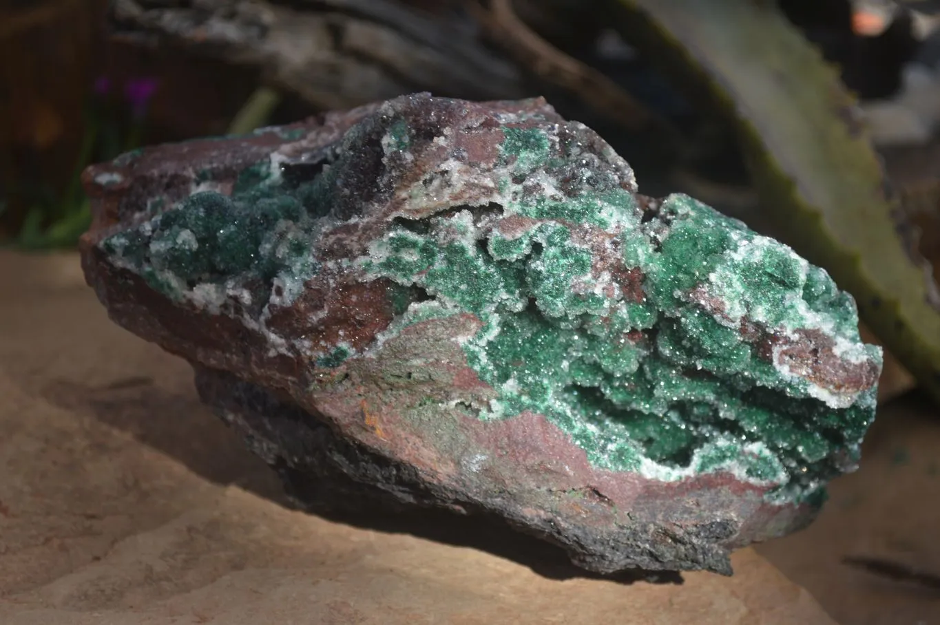 Natural Exquisite Bright Green Drusy Quartz Coated Ball Malachite On Red Copper Dolomite Specimen  x 1 From Likasi, Congo