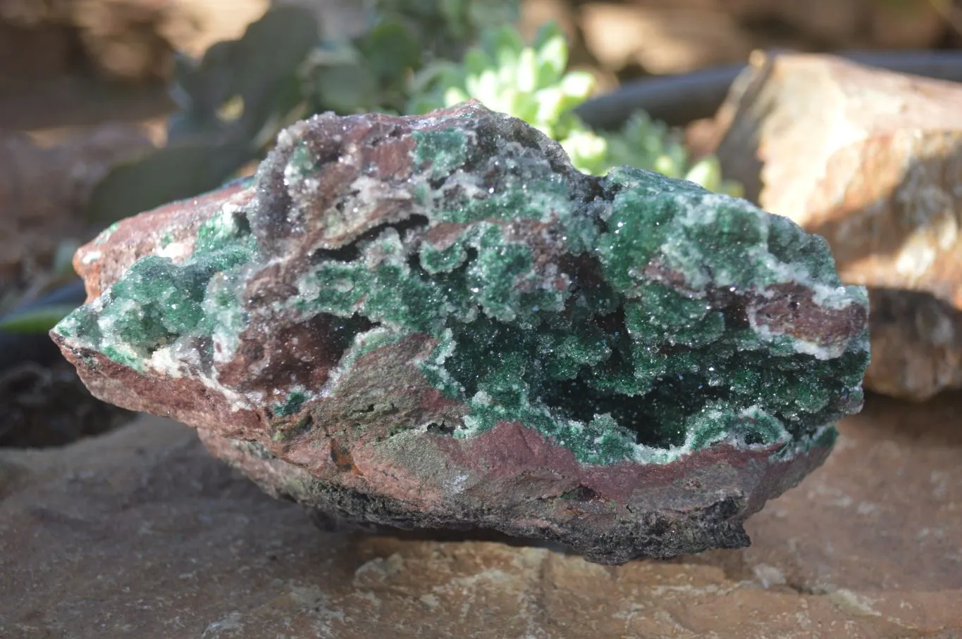 Natural Exquisite Bright Green Drusy Quartz Coated Ball Malachite On Red Copper Dolomite Specimen  x 1 From Likasi, Congo