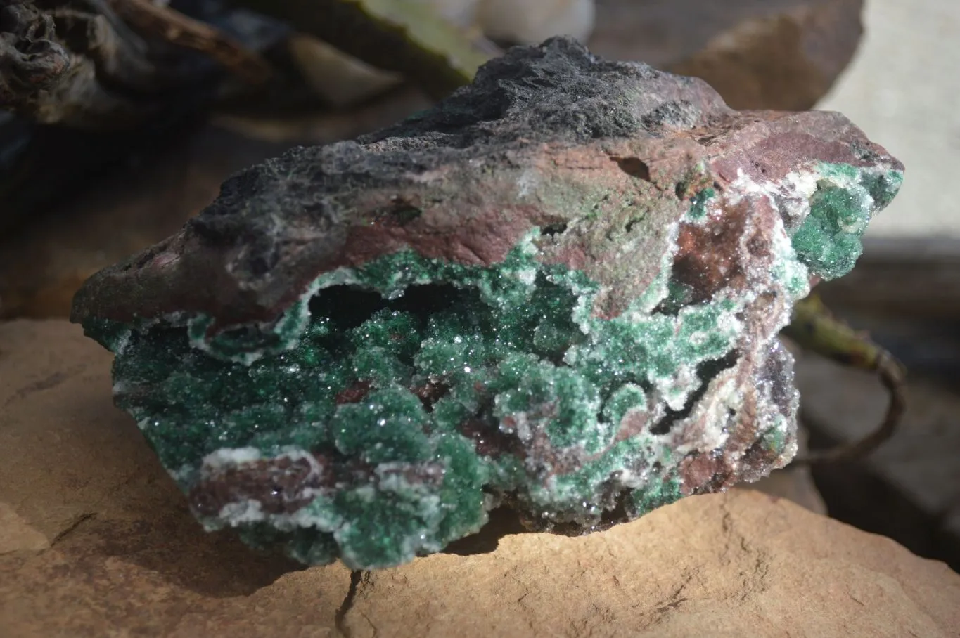 Natural Exquisite Bright Green Drusy Quartz Coated Ball Malachite On Red Copper Dolomite Specimen  x 1 From Likasi, Congo