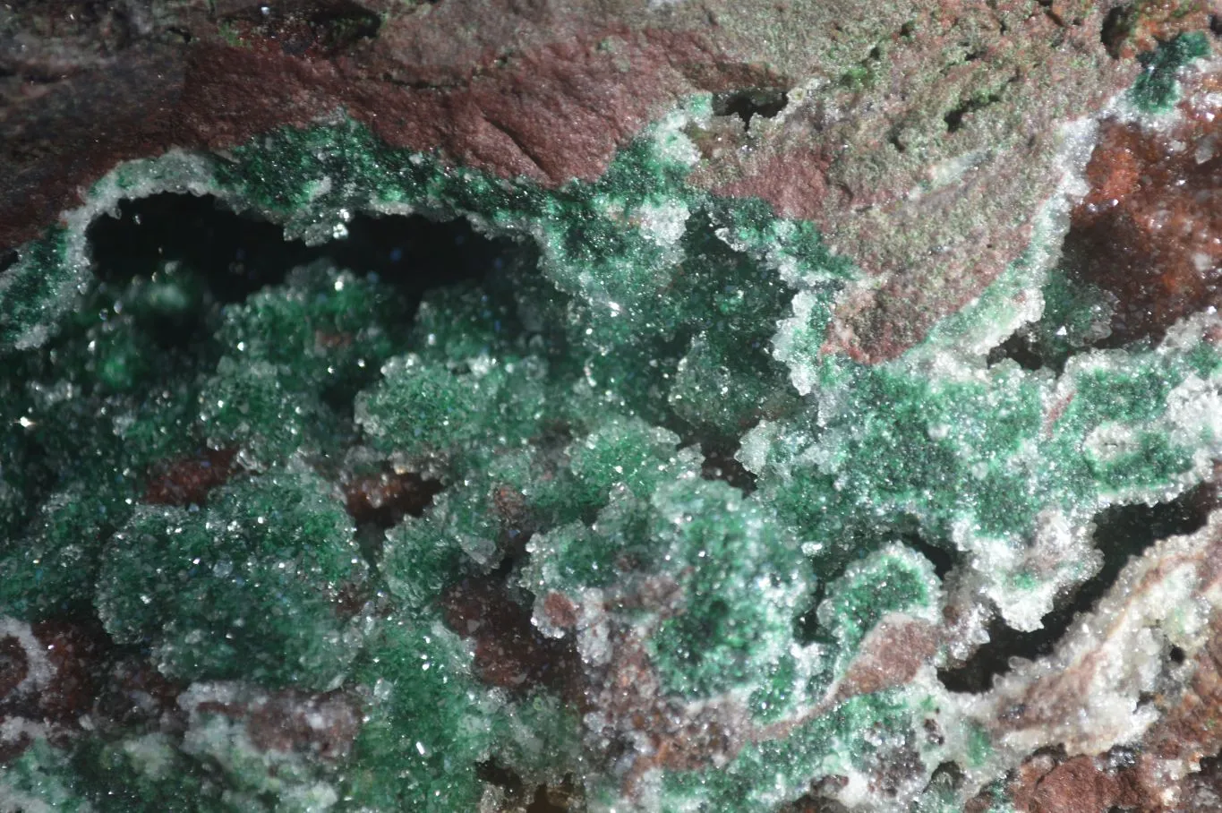 Natural Exquisite Bright Green Drusy Quartz Coated Ball Malachite On Red Copper Dolomite Specimen  x 1 From Likasi, Congo