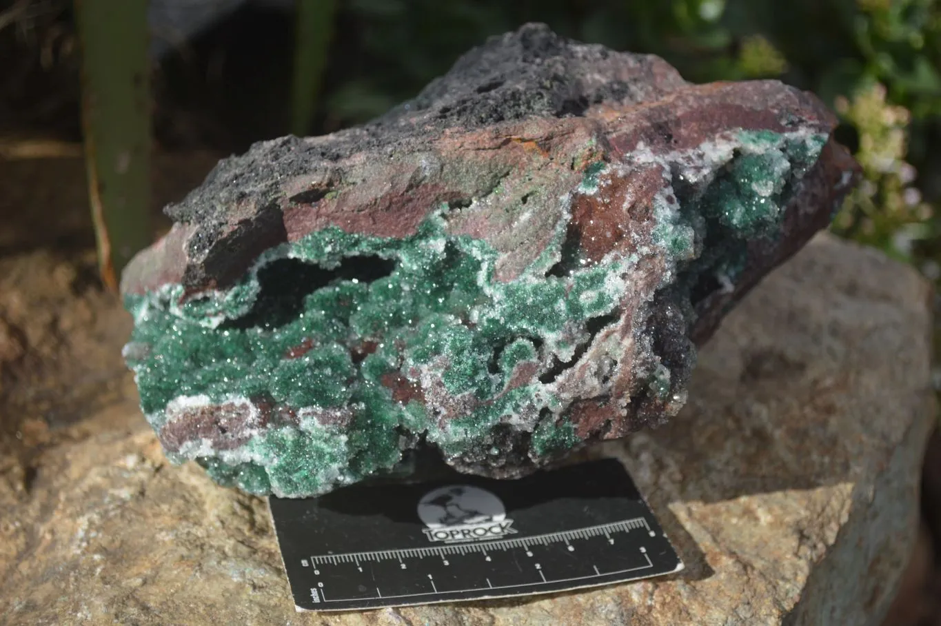 Natural Exquisite Bright Green Drusy Quartz Coated Ball Malachite On Red Copper Dolomite Specimen  x 1 From Likasi, Congo