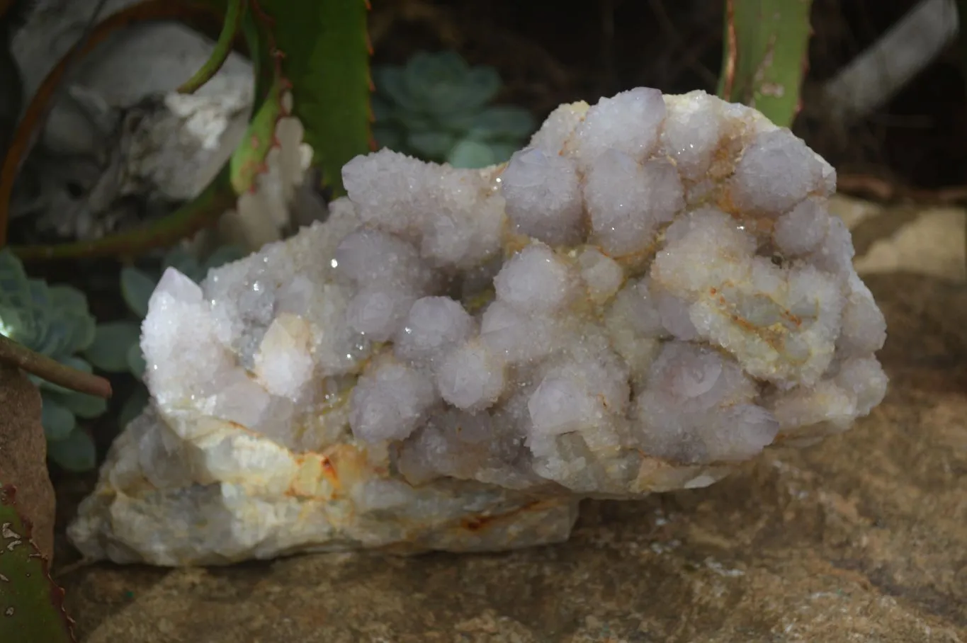 Natural Extra Large Spirit Quartz Crystal Cluster x 1 From Boekenhouthoek, South Africa