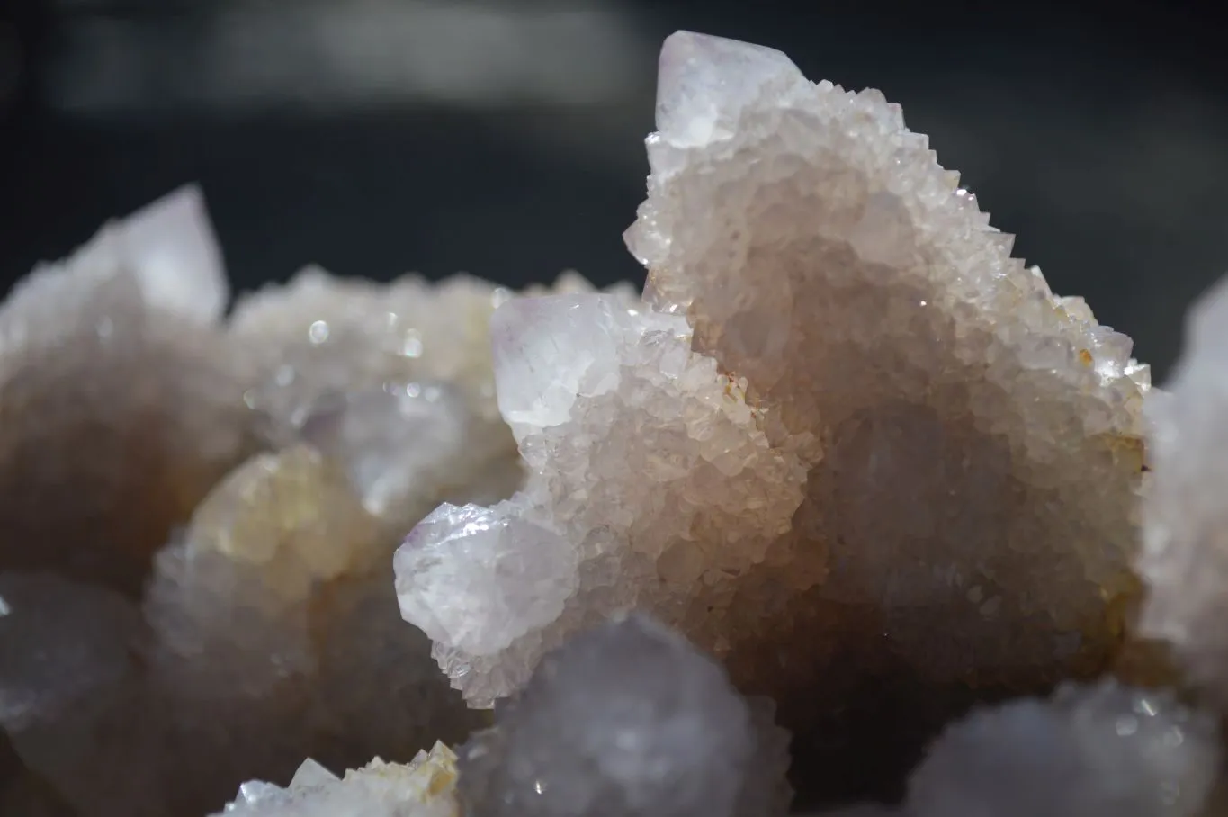 Natural Extra Large Spirit Quartz Crystal Cluster x 1 From Boekenhouthoek, South Africa