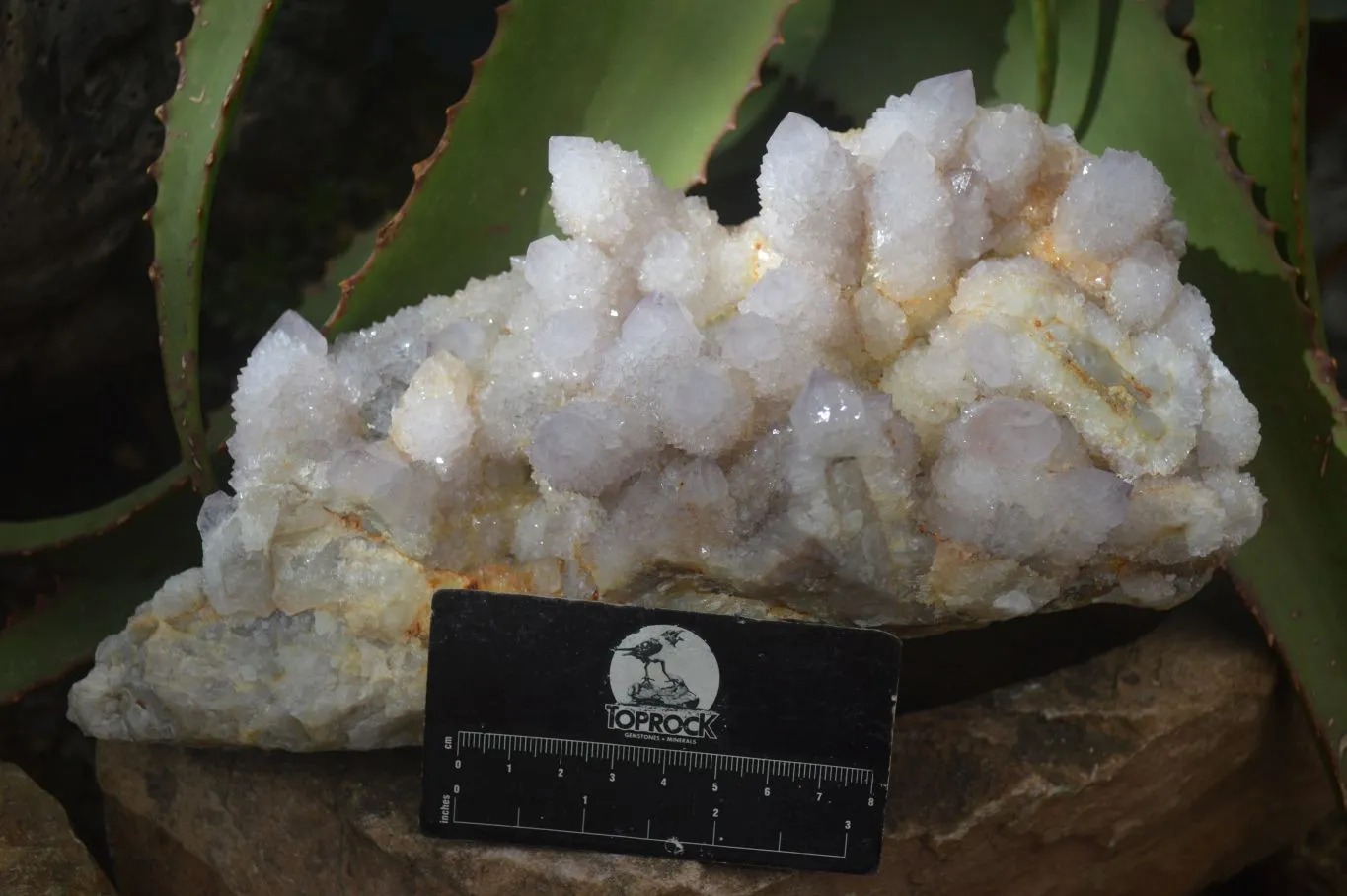 Natural Extra Large Spirit Quartz Crystal Cluster x 1 From Boekenhouthoek, South Africa