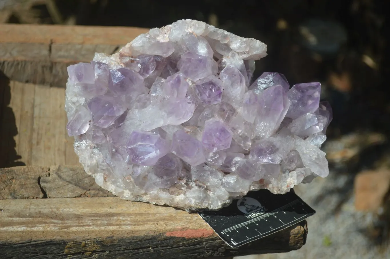 Natural Jacaranda Amethyst Cluster x 1 From Zambia