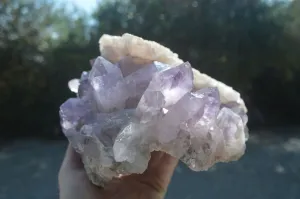 Natural Jacaranda Amethyst Cluster x 1 From Zambia