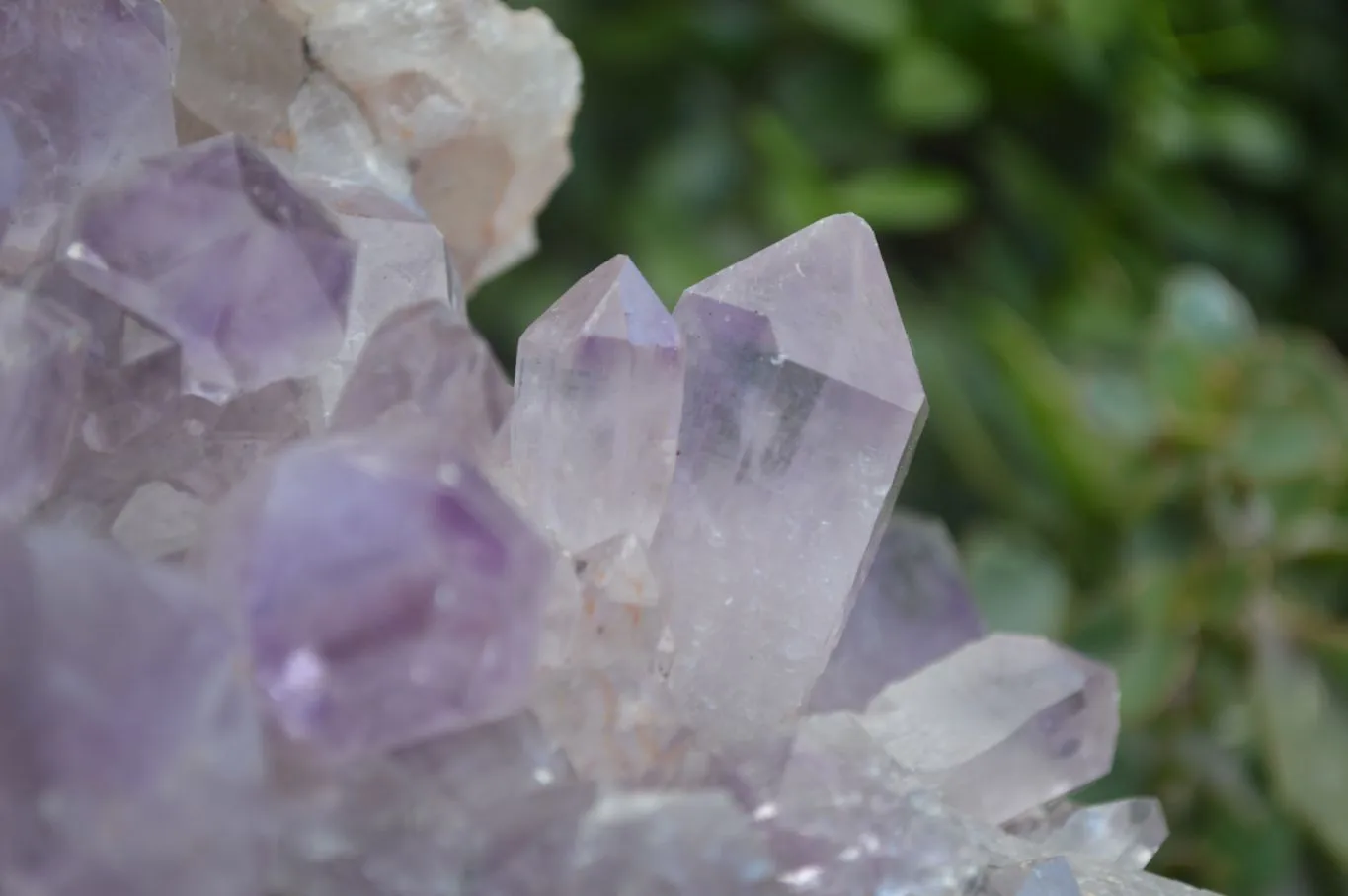 Natural Jacaranda Amethyst Cluster x 1 From Zambia