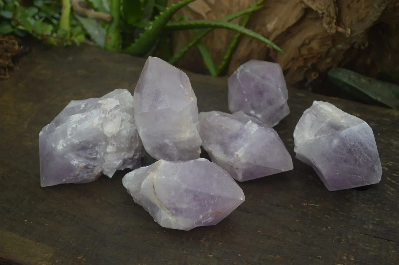 Natural Large Jacaranda Amethyst Crystals x 6 From Zambia