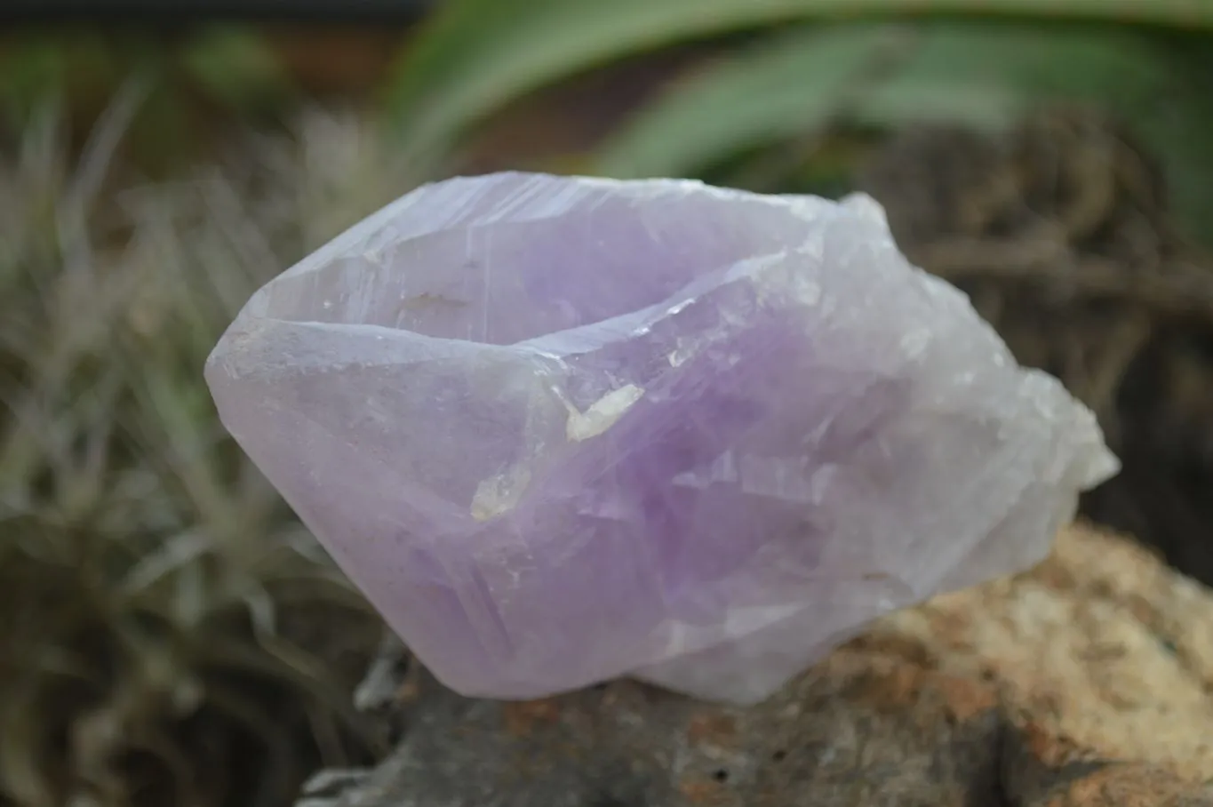 Natural Large Jacaranda Amethyst Crystals x 6 From Zambia