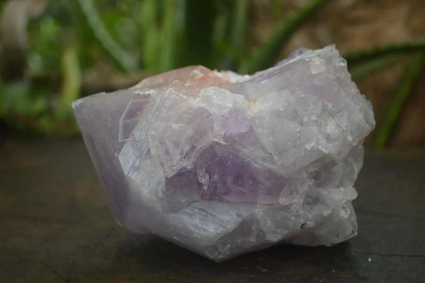 Natural Large Jacaranda Amethyst Crystals x 6 From Zambia