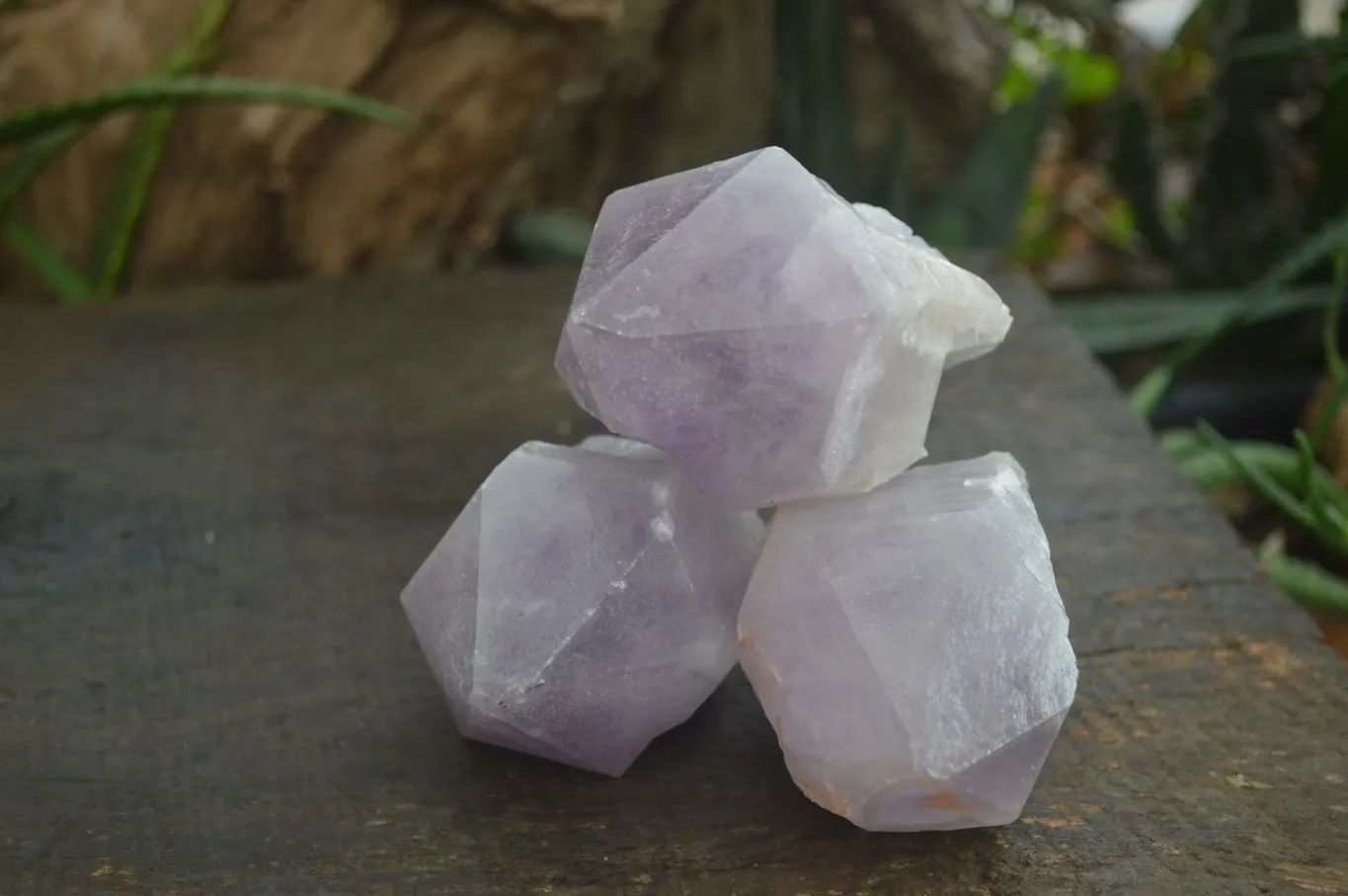 Natural Large Jacaranda Amethyst Crystals x 6 From Zambia