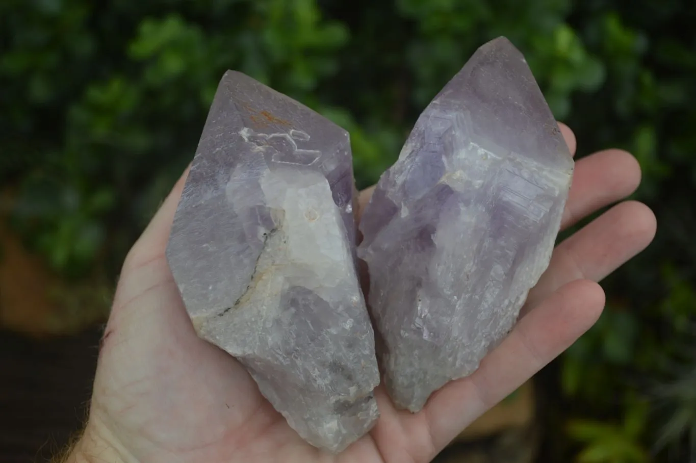 Natural Large Jacaranda Amethyst Crystals x 6 From Zambia