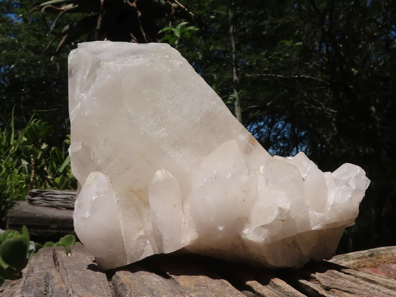 Natural Large Single Quartz Crystal Specimen  x 1 From Madagascar