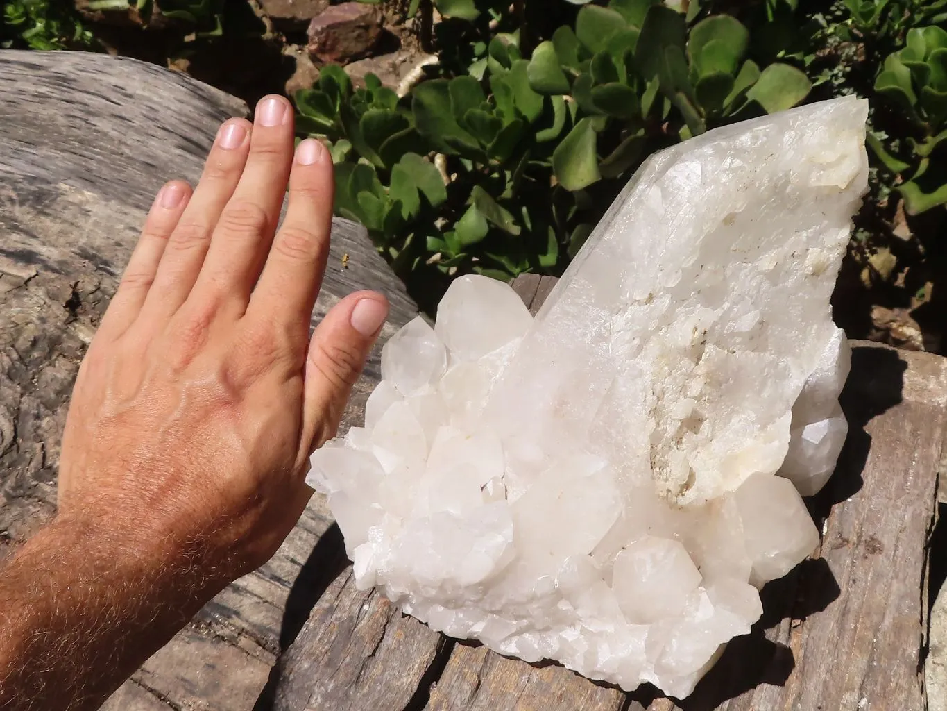 Natural Large Single Quartz Crystal Specimen  x 1 From Madagascar
