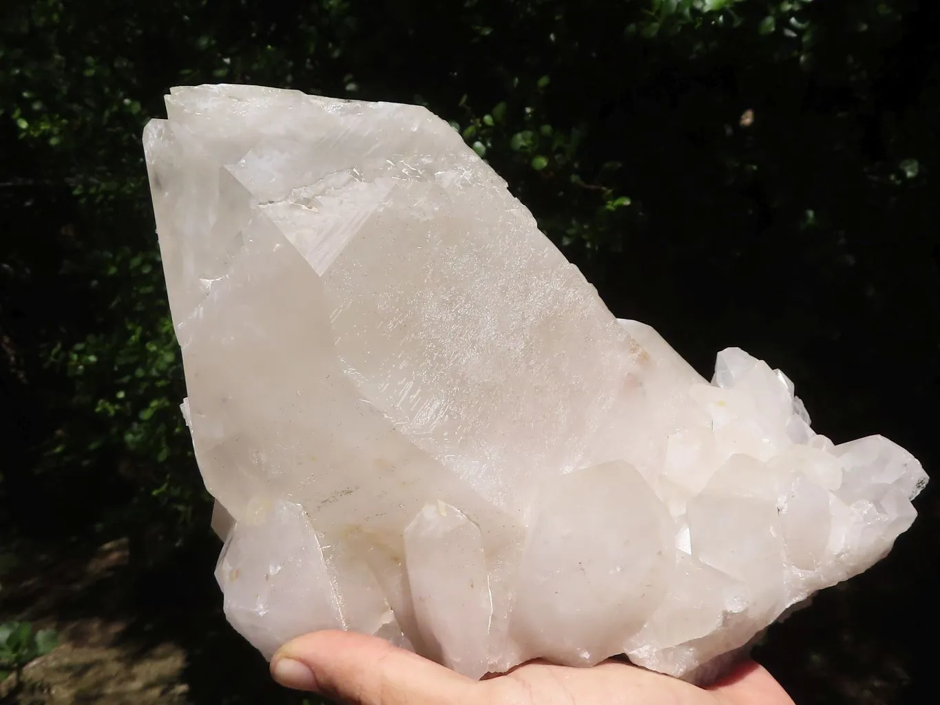 Natural Large Single Quartz Crystal Specimen  x 1 From Madagascar