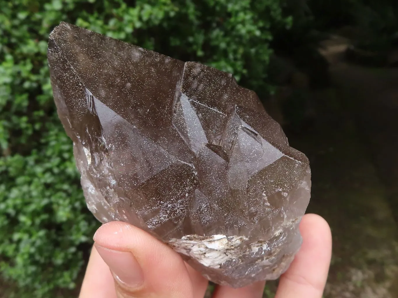 Natural Large Smokey Quartz Crystals x 3 From Malawi
