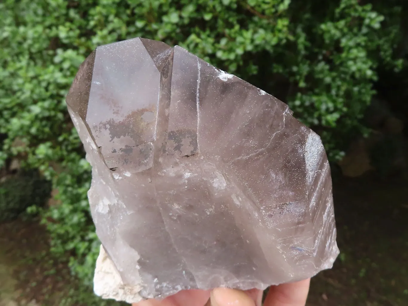 Natural Large Smokey Quartz Crystals x 3 From Malawi