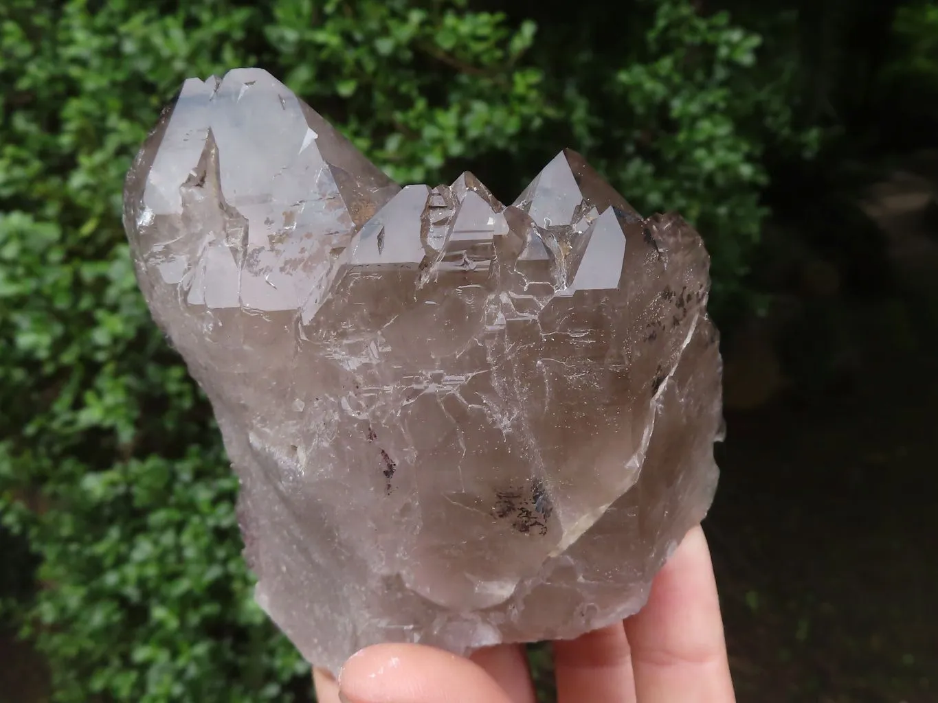 Natural Large Smokey Quartz Crystals x 3 From Malawi