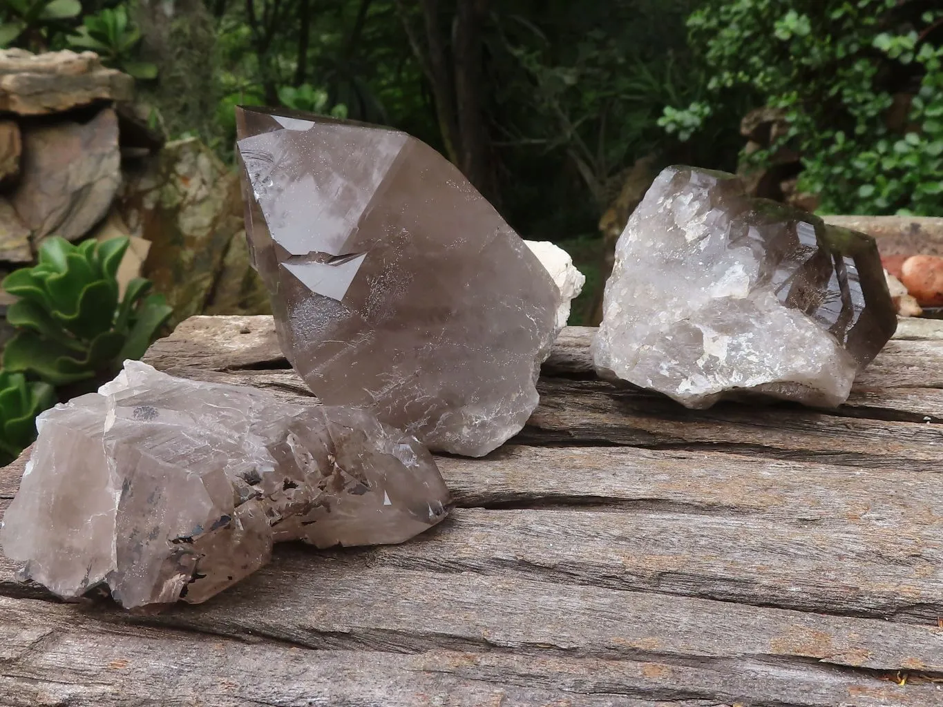 Natural Large Smokey Quartz Crystals x 3 From Malawi