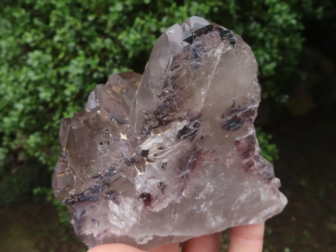 Natural Large Smokey Quartz Crystals x 3 From Malawi