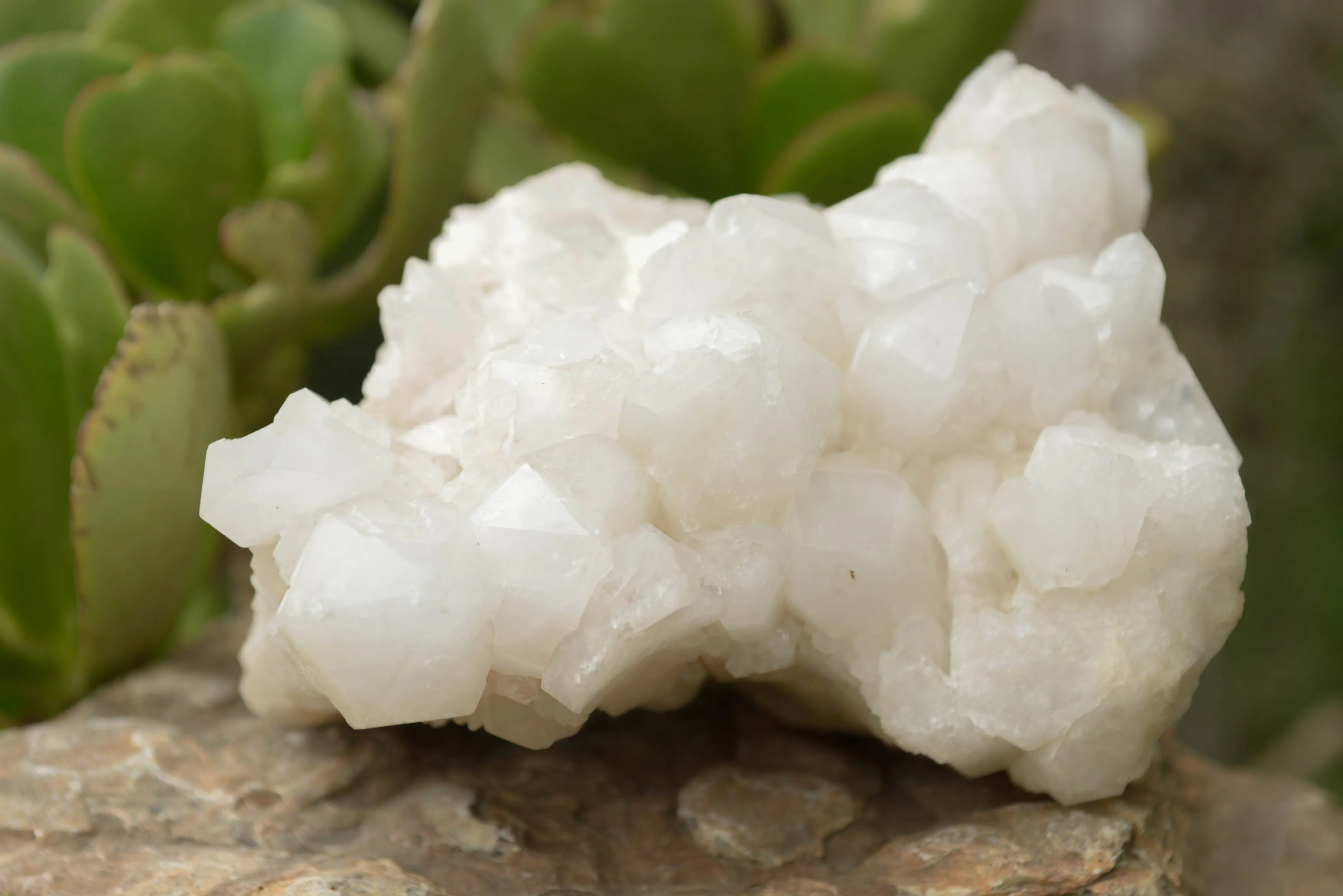 Natural Large White Pineapple Candle Quartz Cluster x 1 From Madagascar